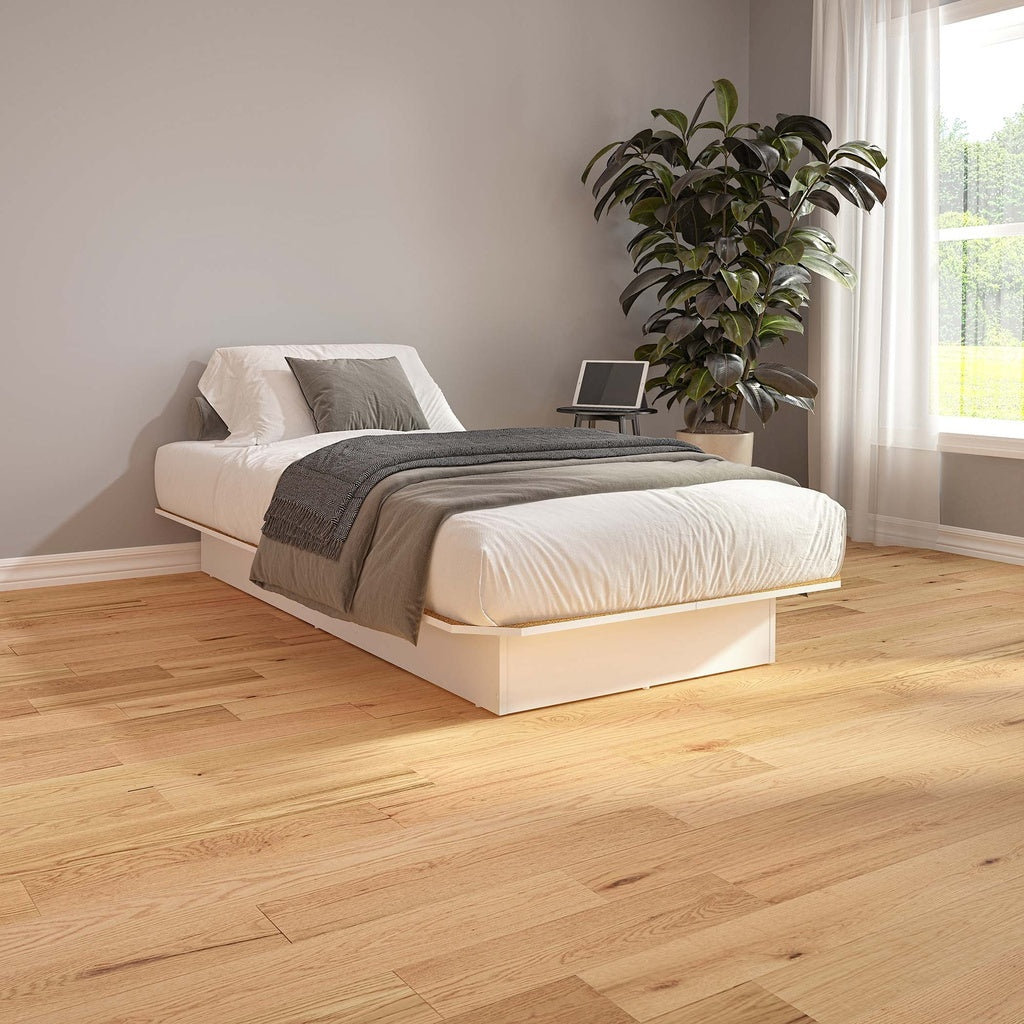 Bed Mattress and Box Spring